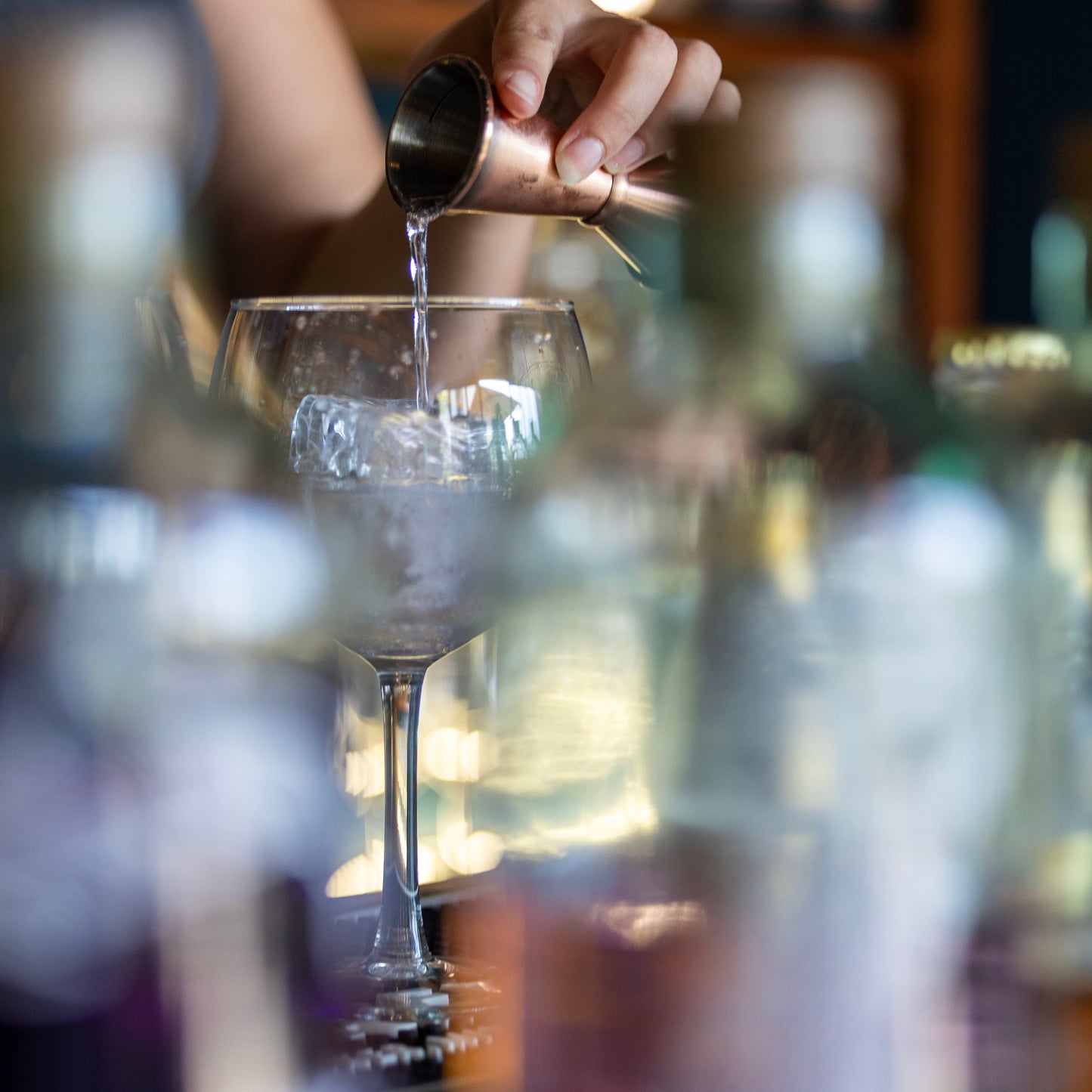 Private Gin Tasting