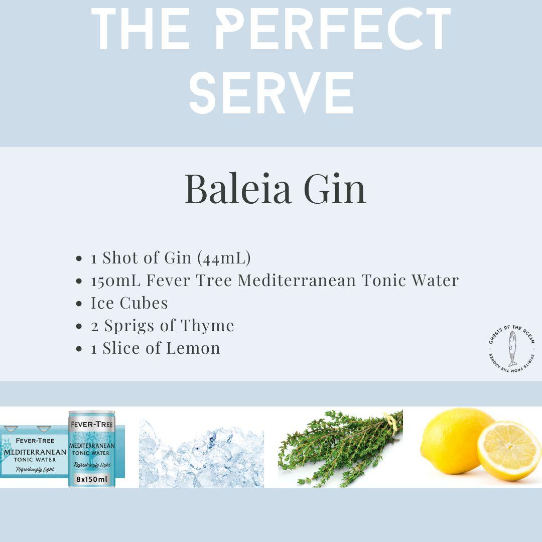 Ghosts Of The Ocean - Baleia Edition