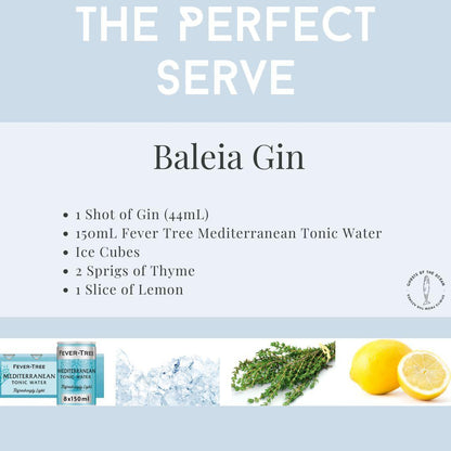 Ghosts Of The Ocean - Baleia Edition