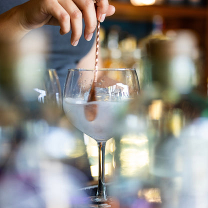 Private Gin Tasting